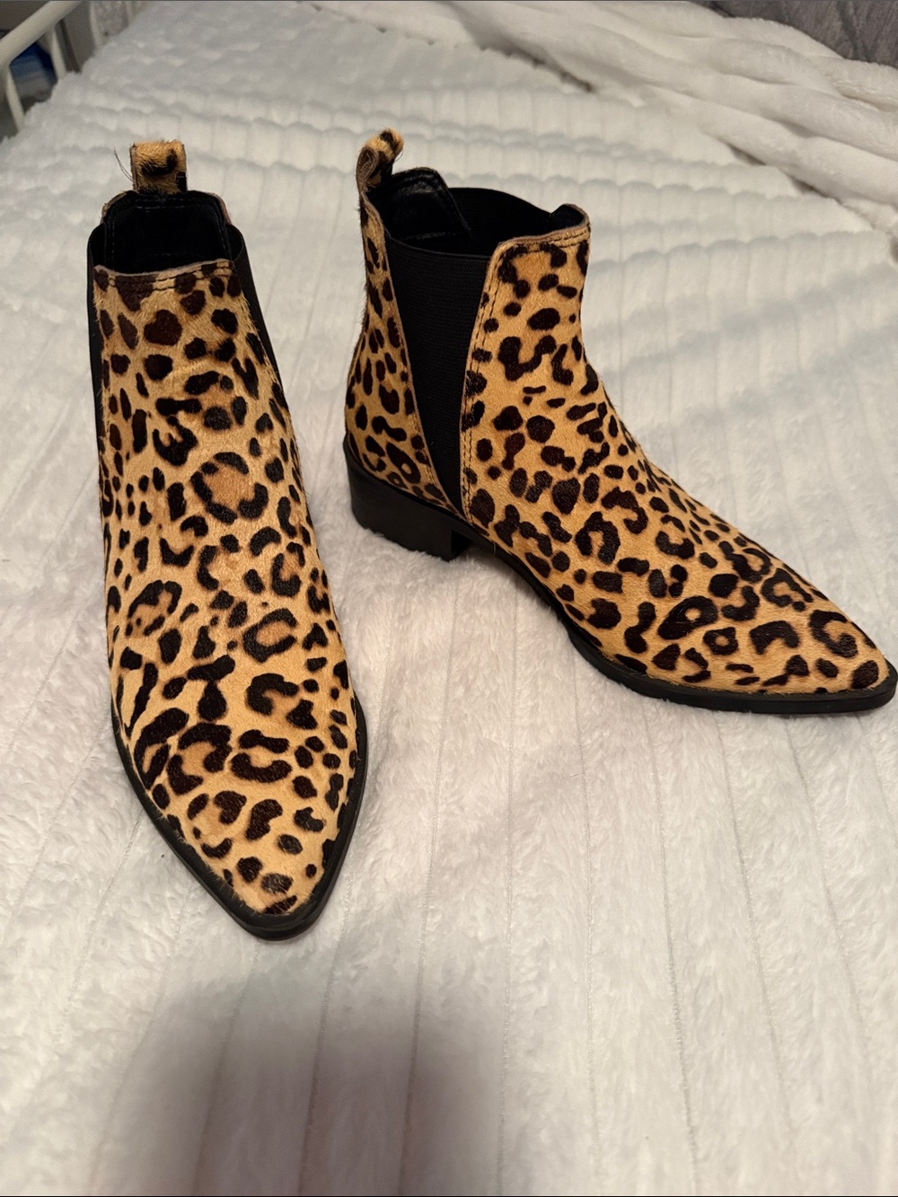 Steve Madden Leopard Print Chelsea Ankle Boots - Women's